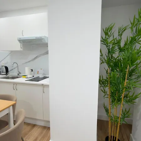 Penota Apartment *